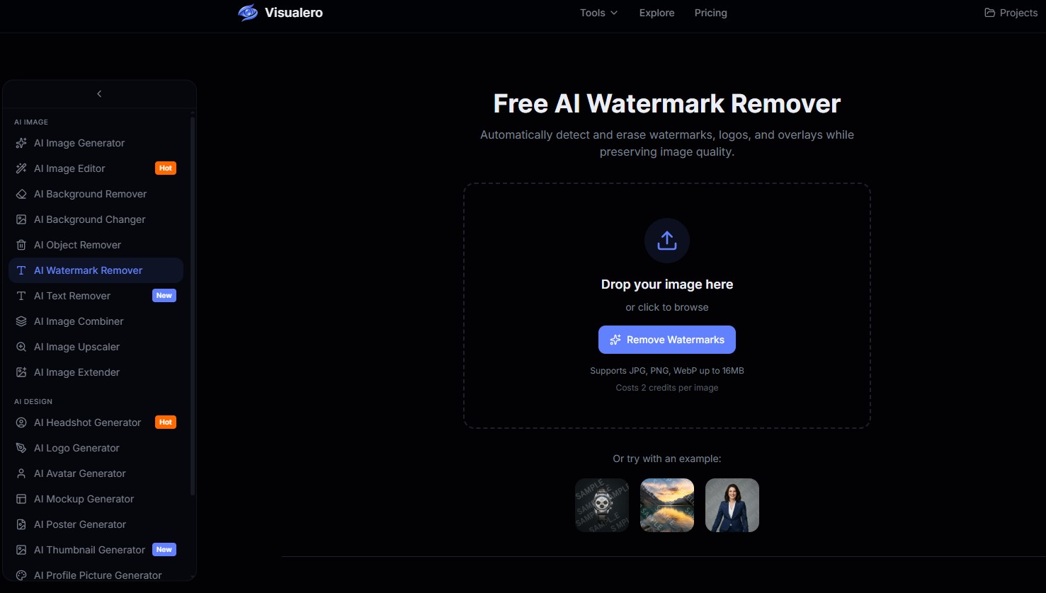 Visualero AI Watermark Remover
